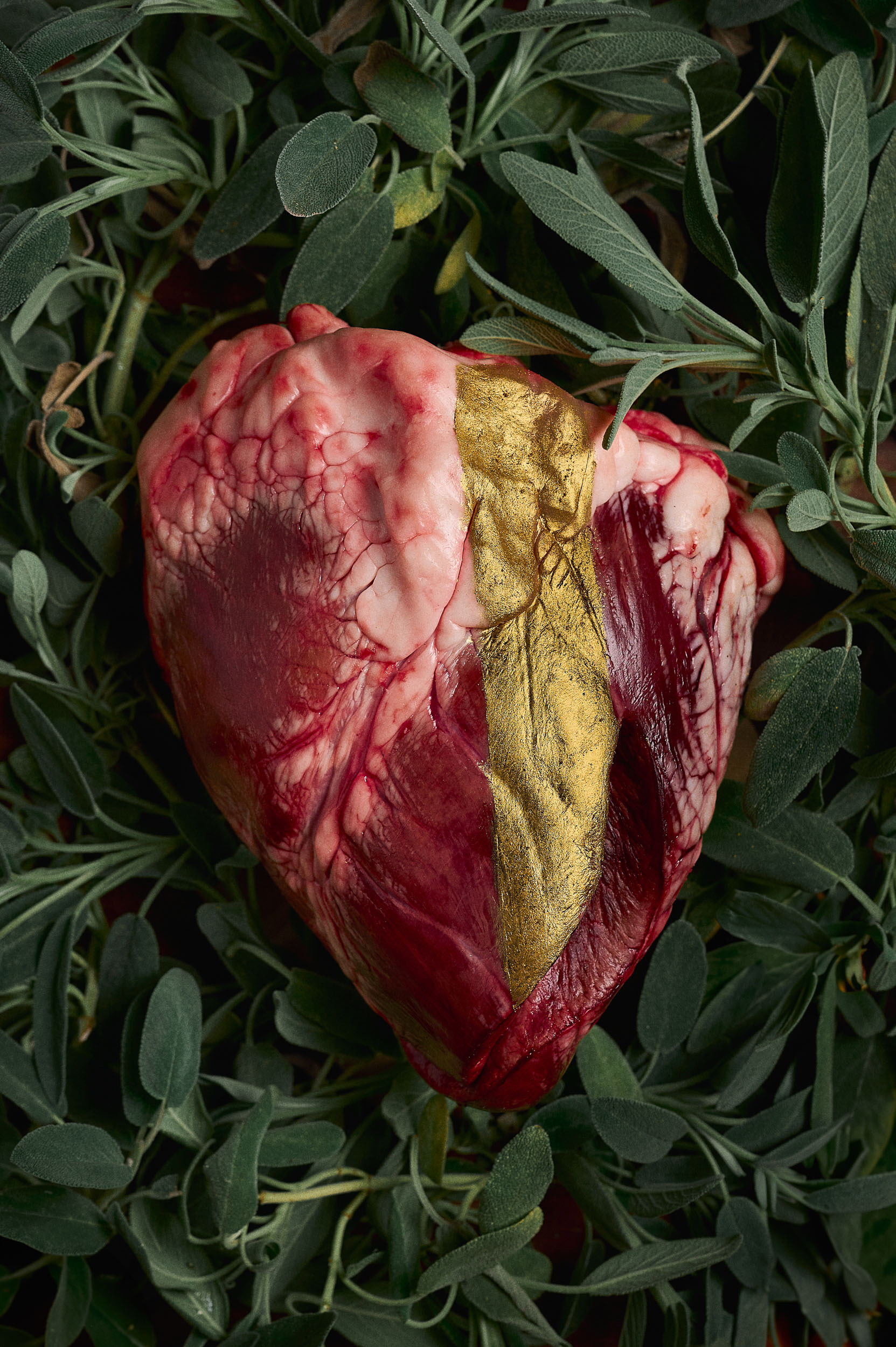 Opera artistica “Crescita” – cuore animale con foglia dorata su fondo di erbe aromatiche, realizzata per la cena-performance Se Carne, Questa Carne