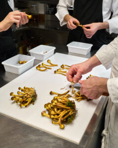 sdz3861©stefanodelia