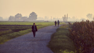 Persone che camminano nella Pianura Padana al tramonto – fotografia di Stefano Delia Persone che passeggiano lungo un sentiero di campagna nella Pianura Padana con la nebbia e luce dorata