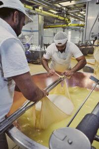 Parmigiano Reggiano – Lavorazione artigianale nel caseificio | Foto Stefano Delìa Maestri casari durante la lavorazione artigianale del Parmigiano Reggiano DOP, foto di Stefano Delìa
