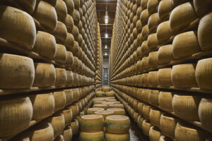 Parmigiano Reggiano DOP – Stagionatura nel caseificio | Foto Stefano Delìa Stagionatura di forme di Parmigiano Reggiano DOP in un caseificio, foto di Stefano Delìa