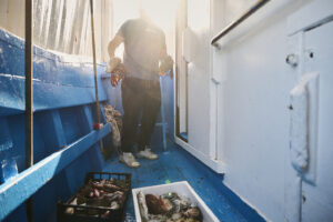 Pescatore con aragoste fresche sul peschereccio | Most of Italy | Foto Stefano Delìa Pescatore sul peschereccio con aragoste fresche in mano e cassette di pesce a bordo, fotografia documentaria di Stefano Delìa per Most of Italy