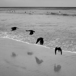 sd 0005 sri lanka 2025 dsf2704 low