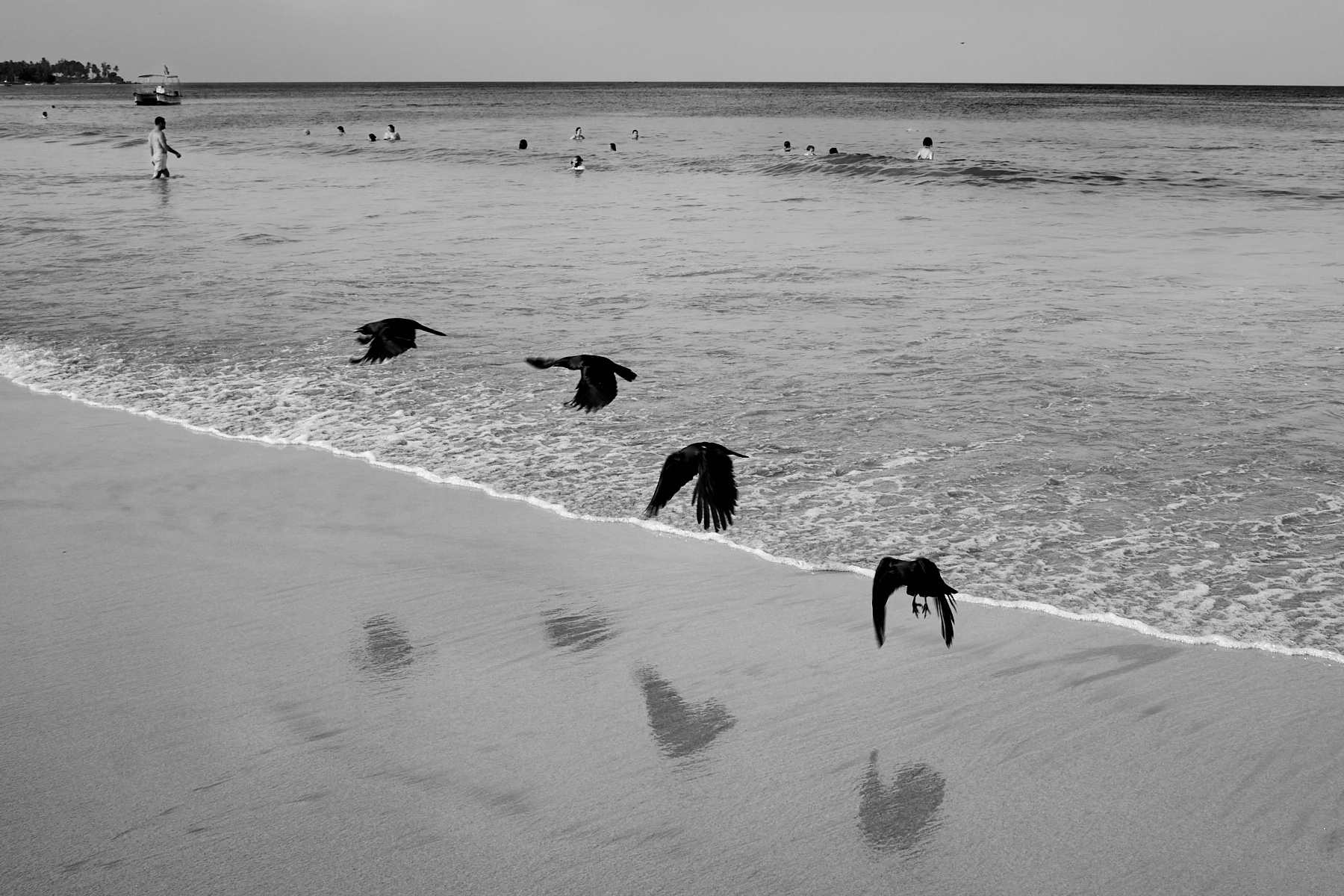 sd 0005 sri lanka 2025 dsf2704 low