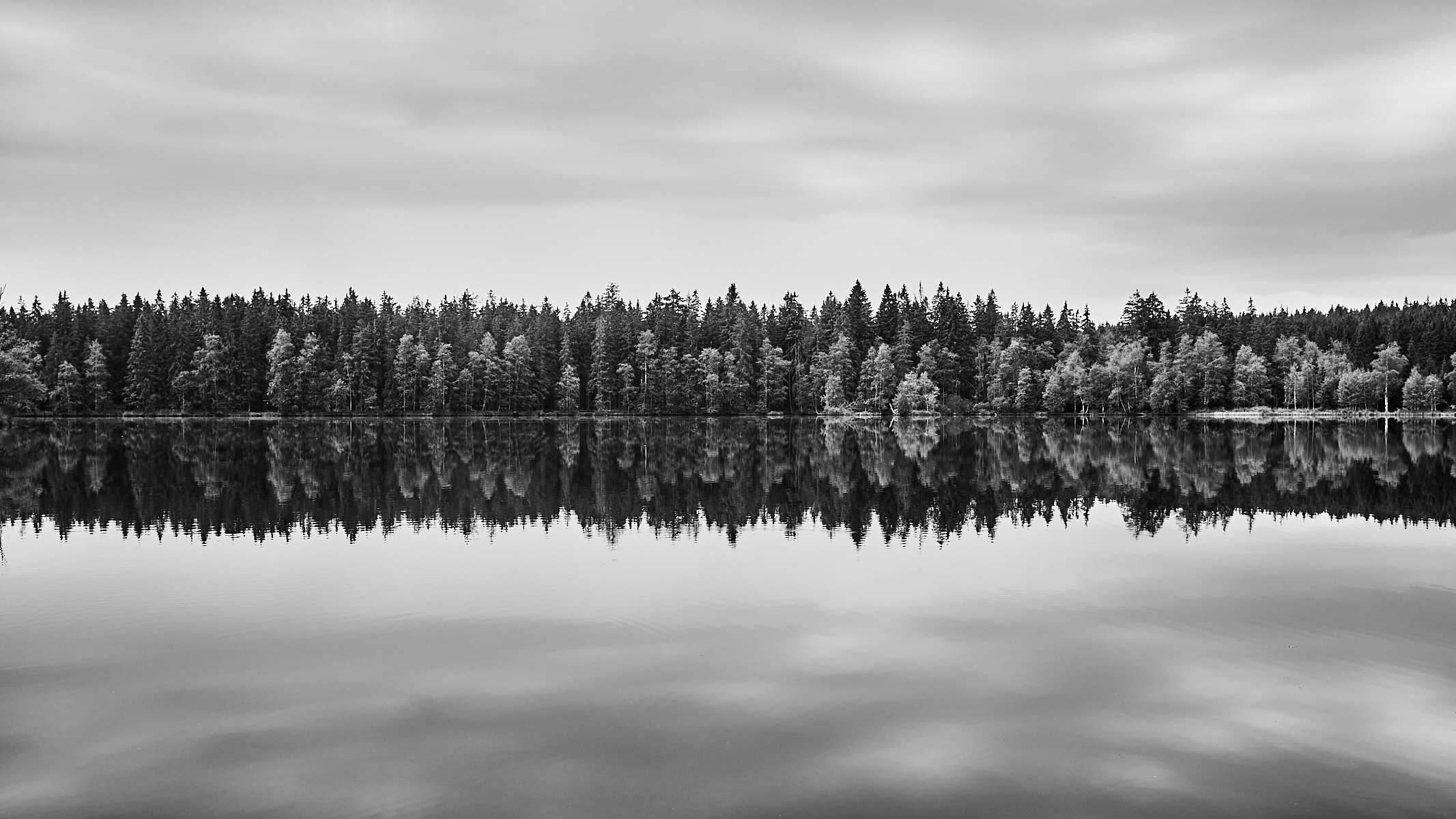 sd 0036 repceca 2022 dsf3788 low